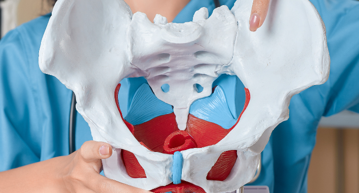 Il perineo non è un dettaglio: è il centro di equilibrio del corpo femminile